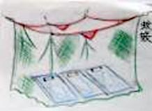 蚊帳