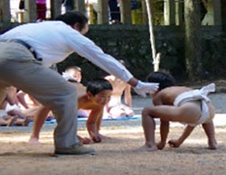 秋祭り相撲大会